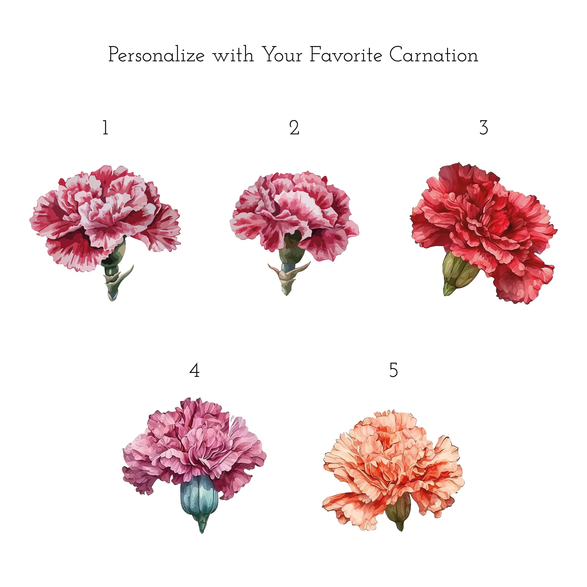 Personalized carnation color choice catalog for custom mothers day flower gift